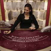 Blackjack VIP 15 game icon